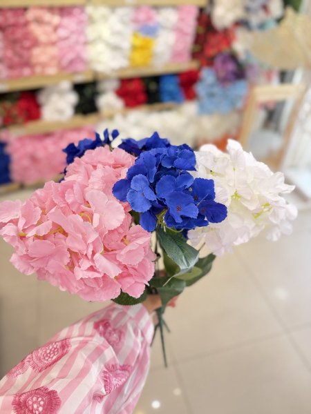 قرطاسيا 5 عروق