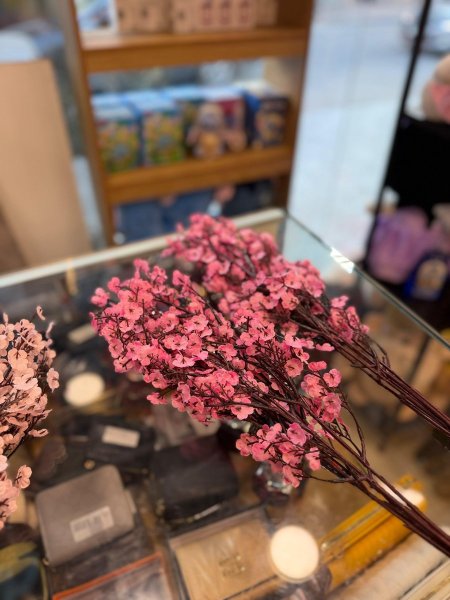 عروق لوز صغير