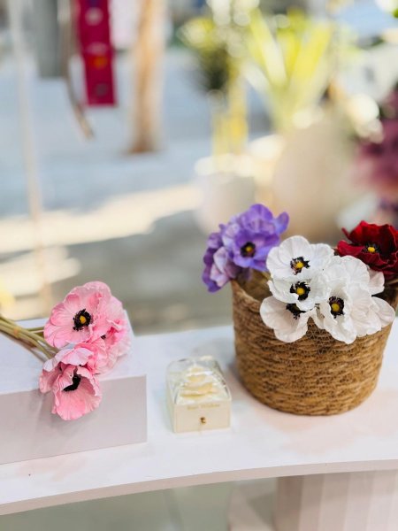 شقائق النعمان