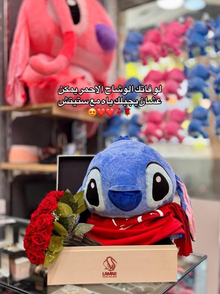 بكج ستيتش مع الوشاح الاحمر