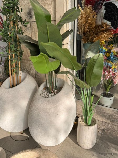 فازة حجم كبير